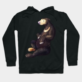 Cozy Sun Bear Hoodie